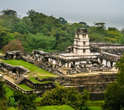 Orang Suku Maya Kuno Ternyata Makan Kepiting Air Tawar di Perayaan Tertentu