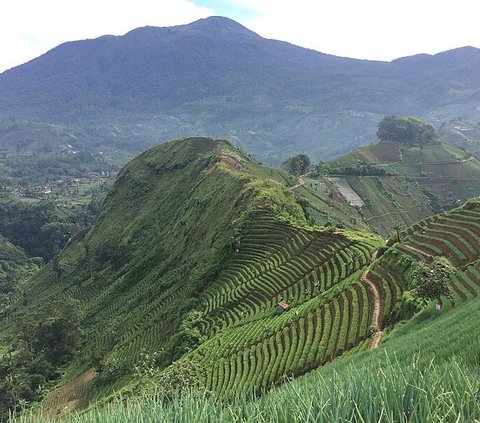 6 Wisata Majalengka yang Indah dan Memesona, Wajib Dikunjungi