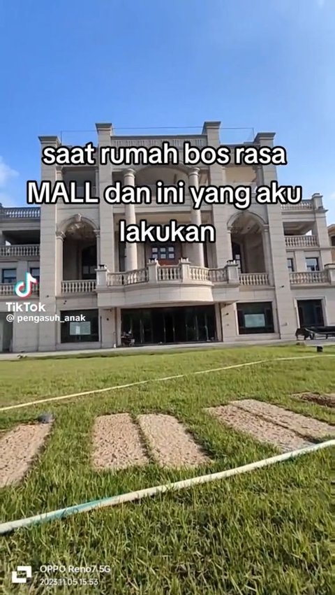 Viral Pengasuh Anak Tunjukkan Rumah Rasa Mall Milik Bosnya, Ada Bioskop di Dalam Rumah