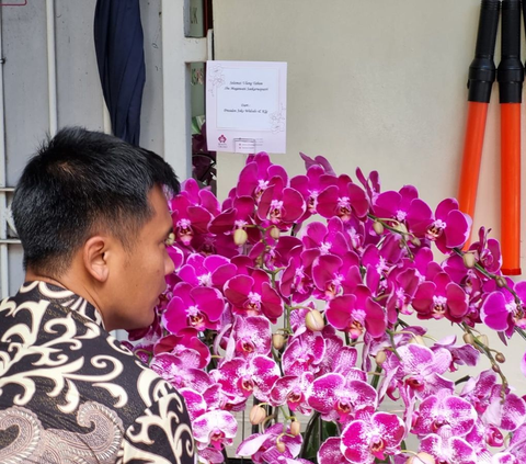 Jokowi Sends Orchid Flowers and Birthday Greetings to Megawati