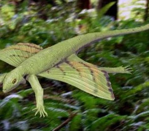 210 Million Years Ago, Flying Reptiles Lived in England