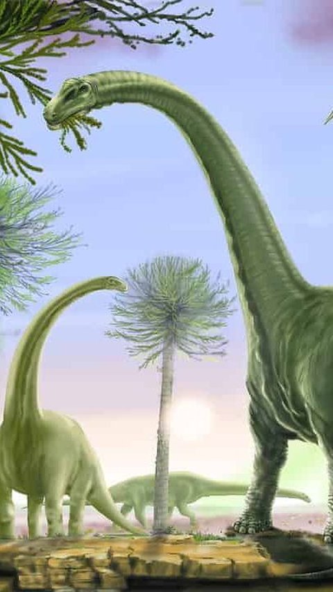 Spesies Baru dari Dinosaurus Sauropod Telah Ditemukan di Argentina