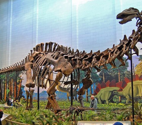 Spesies Baru dari Dinosaurus Sauropod Telah Ditemukan di Argentina