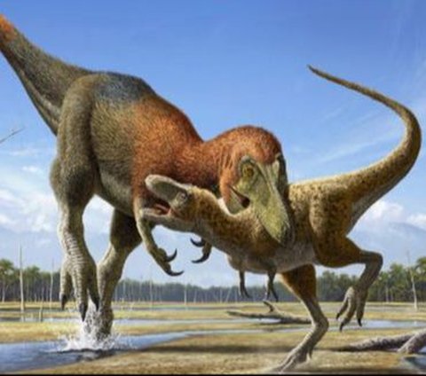 Ahli Sebut Bahwa Nanotyrannus adalah Spesies Berbeda dari Tyrannosaurus Kecil