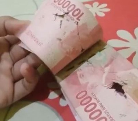 Pria Ini Menangis Usai Dapati Uang Tabungannya Dimakan Rayap, Begini Penampakannya