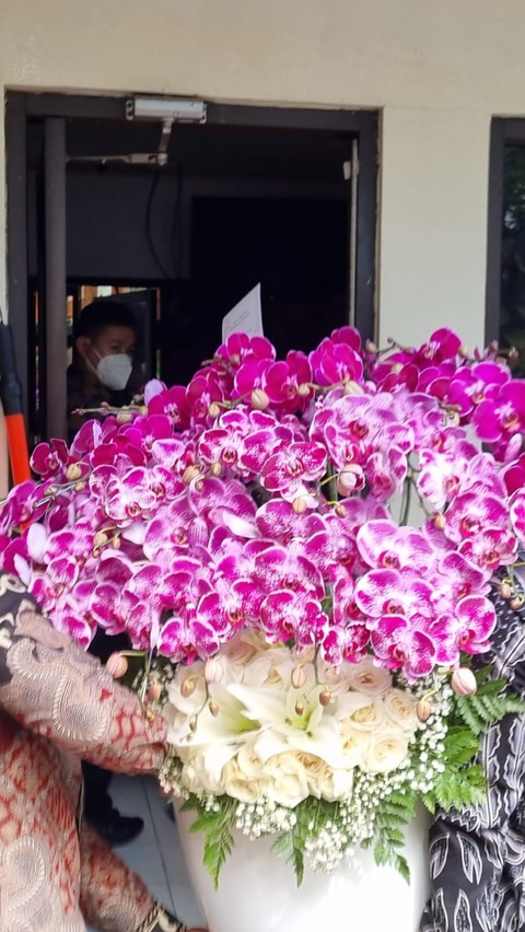 Ini Makna Anggrek Ungu Hadiah Presiden Jokowi untuk Ulang Tahun Megawati