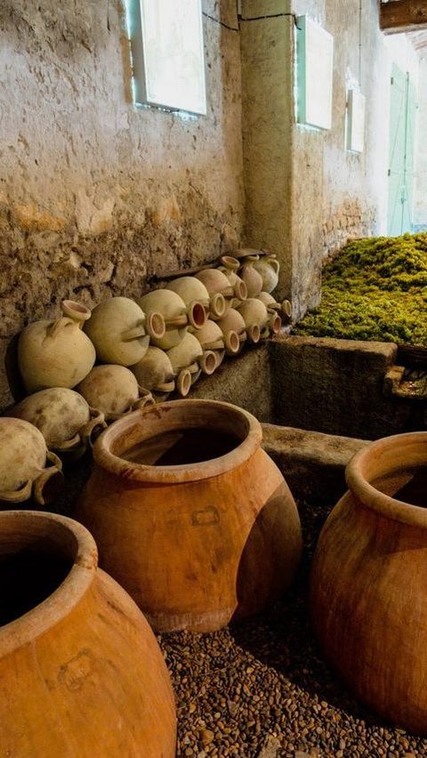 Unik, Anggur Bangsa Romawi Kuno Punya Cita Rasa Pedas, Kok Bisa?