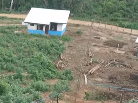 Dikelilingi Hutan, Begini Penampakan Rumah Transmigrasi di Sulawesi Tenggara