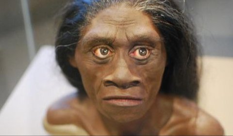 <b>Homo Floresiensis</b><br>