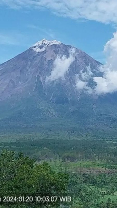 Gunung Semeru Dua Kali Erupsi Dalam Sehari, Semburan Abu Vulkanik Capai 800 Meter