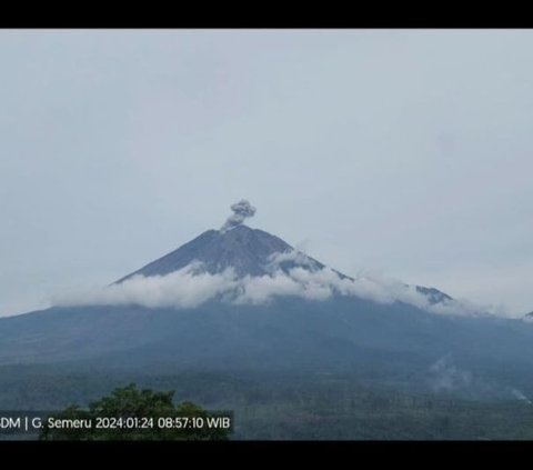 Gunung Semeru Dua Kali Erupsi Dalam Sehari, Semburan Abu Vulkanik Capai 800 Meter