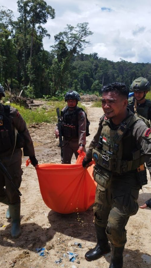 Satgas Gabungan TNI-Polri Tembak Satu Anggota KKB Papua Harisatu Nambagi, Total 6 Orang Tewas