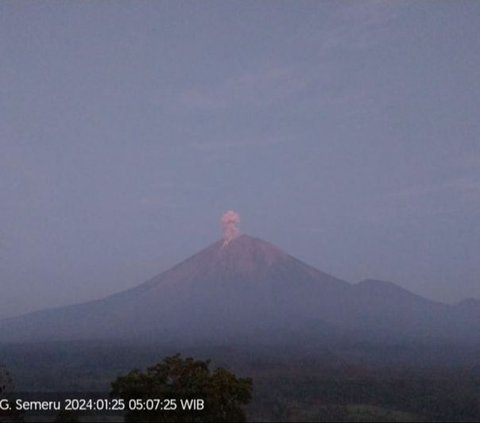 Gunung Semeru Kembali Erupsi, Lontarkan Abu Vulkanik Setinggi 900 Meter