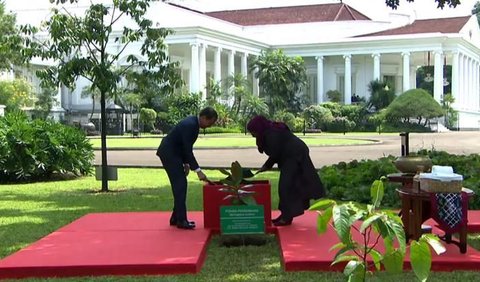 Rangkaian selanjutnya, mereka melakukan penanaman pohon Barringtania Asiatica (pohon perdamaian) di halaman belakang Istana Bogor. 