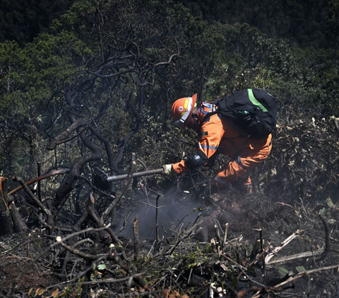 Tentara Kolombia dan anggota tim penyelamat memadamkan kebakaran hutan berjibaku melakukan pemadaman api yang masih membakar lahan hutan di Bogota, Kolombia (24/1/2024).<br>(Foto RAUL ARBOLEDA / AFP)