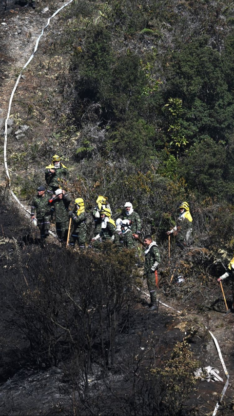 Musibah ini telah mengerahkan ribuan petugas gabungan untuk turun langsung memadamkan api yang yang membakar hutan Bogota.<br>(Foto RAUL ARBOLEDA / AFP)<br>