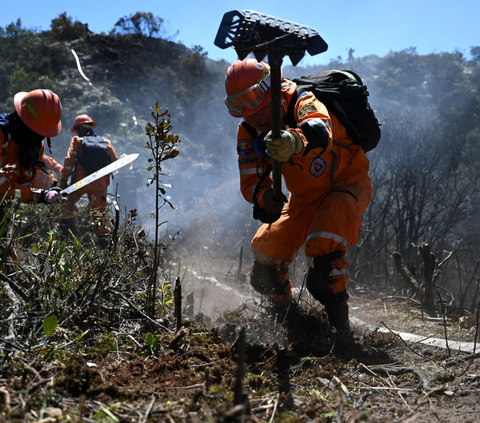 FOTO: Fenomena El Nino Memicu Kebakaran Hutan Tiada Henti di Kolombia