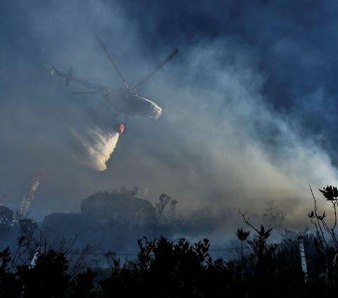 FOTO: Fenomena El Nino Memicu Kebakaran Hutan Tiada Henti di Kolombia