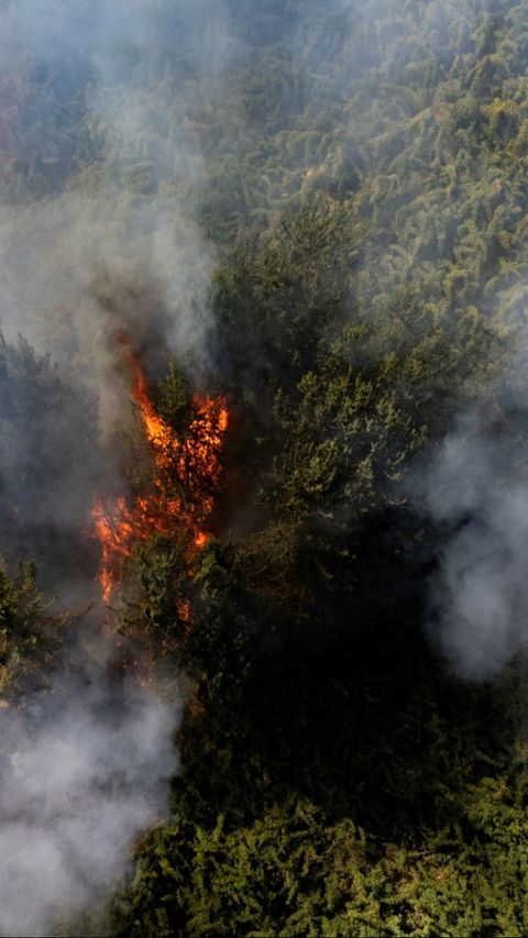 Salah satu titik api yang terpantau dari udara yang membakar hutan di Nemocon, Kolombia pada 24 Januari 2024.<br>(Foto Luis ACOSTA / AFP)