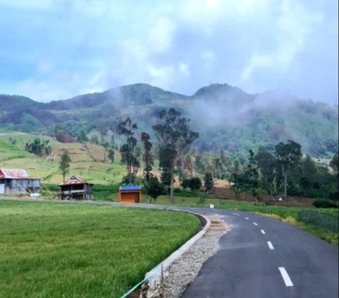 Jadi Korban Konten Viral, Kebun Bawang di Sulawesi Selatan Ini Rusak Terinjak-Injak