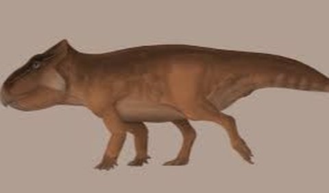 Spesies Jenis Leptoceratops<br>