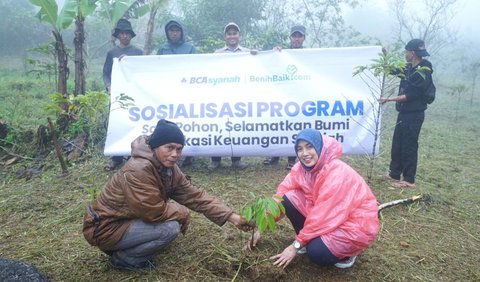 Planting Durian Tree Seedlings