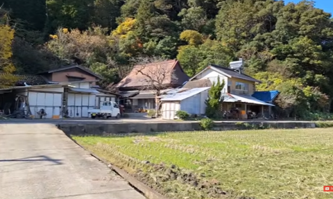 Melihat Desa Petani Unik di Jepang, Alamnya Cantik & Ladang Tertata Rapi