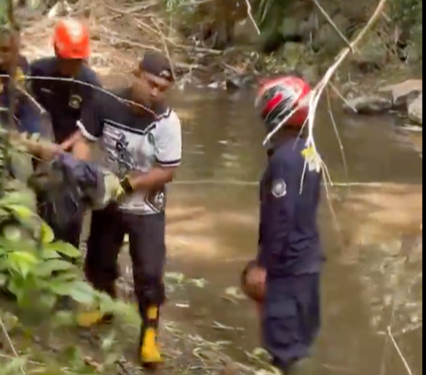 Viral Penemuan Buaya di Wisata Laguna Kalondes, Berhasil Ditangkap