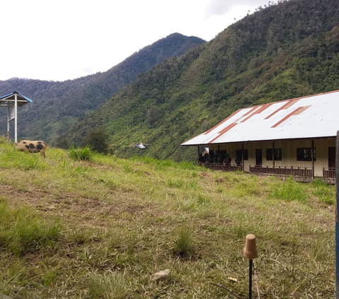 Teror KKB Bikin Warga Mengungsi, Lima Kampung di Papua Kosong