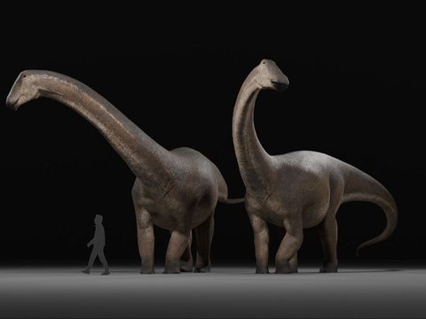 Scientists Discover Largest and Last Species of Sauropoda Family