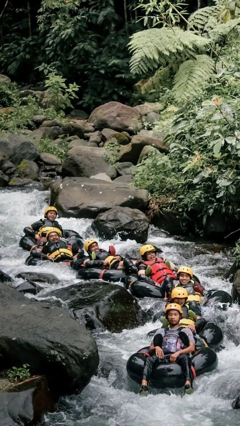 Mengunjungi Cikadongdong River Tubing Majalengka, Nikmati Naik Ban di Sungai Sambil Membelah Hutan Bambu