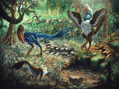 New Dinosaur Species Discovered, Turkey-Sized Parrot-Like Creature Lived in North America