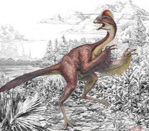 New Dinosaur Species Discovered, Resembling a Turkey-sized Parrot Living in North America