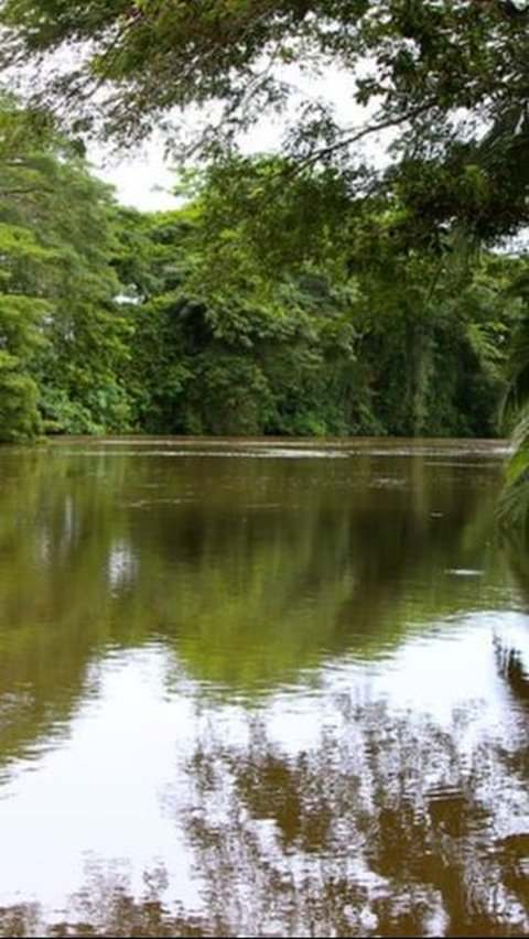 Batu Bergambar Wajah Manusia Berusia 2.000 Tahun Muncul dari Sungai Amazon, Begini Wujudnya