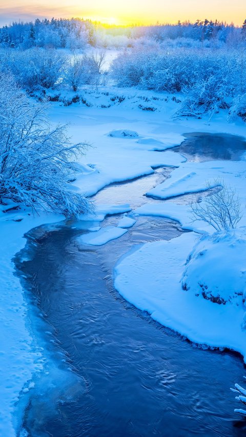 Virus 'Zombie' in Siberia Melting, Scientists Warn of New Pandemic