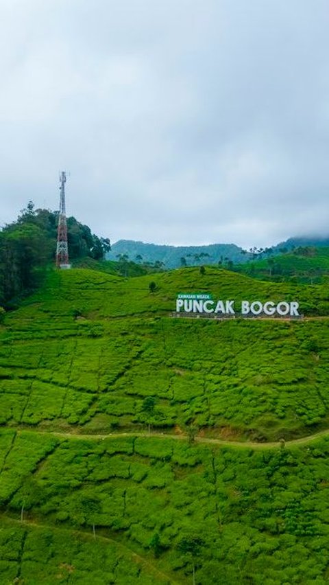 <b>Wisata Puncak Bogor Populer, Seru dengan Pemandangan yang Indah  </b><br>