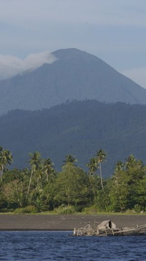 5. Penelitian Katak Spesies Baru Ini Disebut Dapat Melindungi Ekosistem<br>