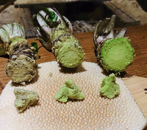 Tak Hanya Buat Pedas Makanan, Ini Manfaat Wasabi bagi Kesehatan Otak