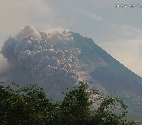 Gunung Merapi Dua Kali Luncurkan Awan Panas Guguran Siang Ini