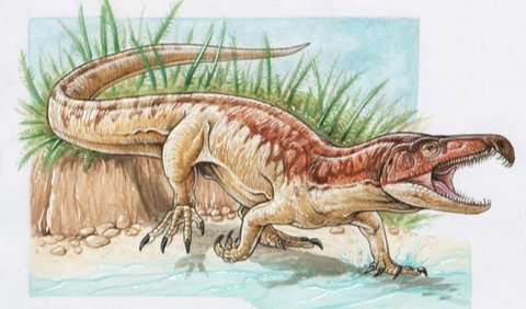 Reptil Purba Proterosuchus