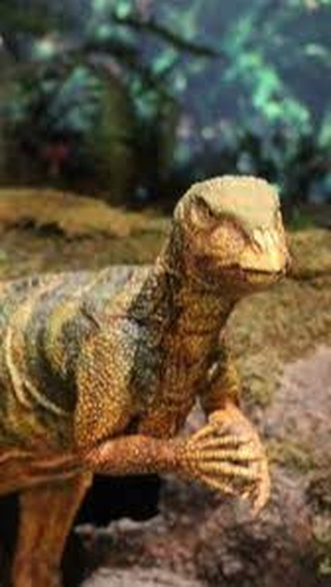 Penemuan Fosil Spesies Baru dari Dinosaurus Ornithopod Mulai Digali di Texas<br>