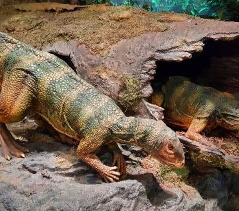 Penemuan Fosil Spesies Baru dari Dinosaurus Ornithopod Mulai Digali di Texas