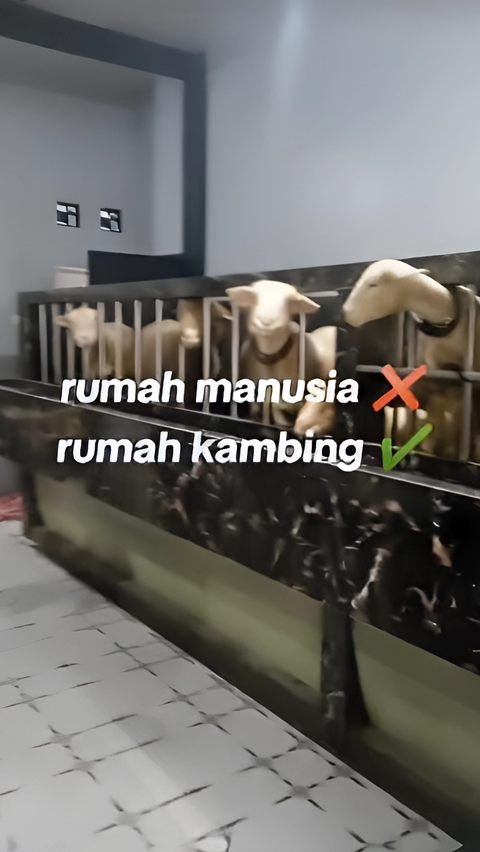 Viral Sultan's Goat Pen in Banjarnegara, Multi-Level House Fully Tiled.