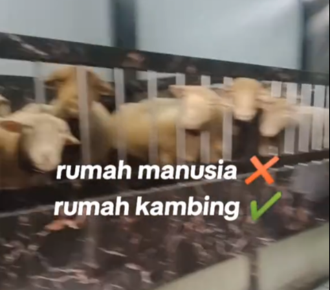 Viral Sultan's Goat Pen in Banjarnegara, Multi-Level House Fully Tiled