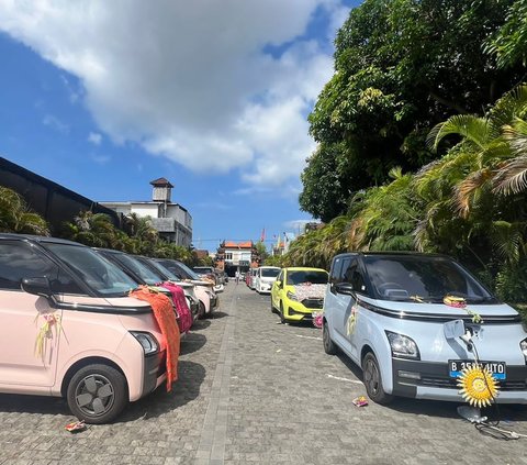 Bisnis Sewa Mobil Listrik Makin Marak, Incar Destinasi Wisata Populer Bali