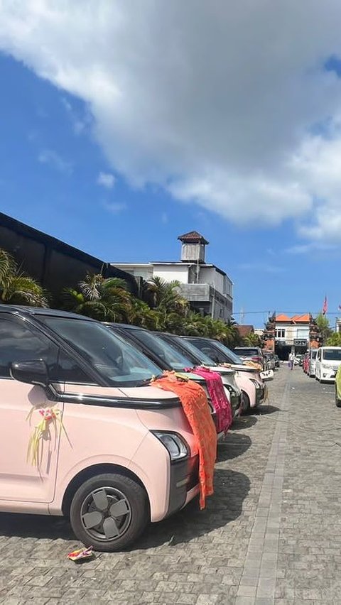 Bisnis Sewa Mobil Listrik Makin Marak, Ada Baliqu Car Rental di Bali