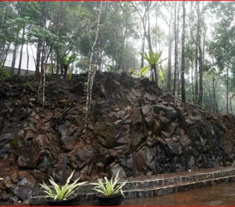 Menjelajahi Kekayaan Alam di Geopark Meratus, dari Hutan Hujan hingga Mata Air Panas Non Vulkanik