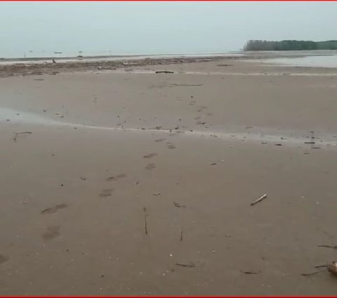 Menguak Fakta Kemunculan Pulau Arnavat di Pesisir Laut Demak, Kini Jadi Objek Wisata Baru