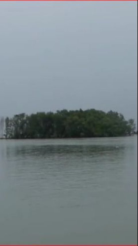 Menguak Fakta Kemunculan Pulau Arnavat di Pesisir Laut Demak, Kini Jadi Objek Wisata Baru