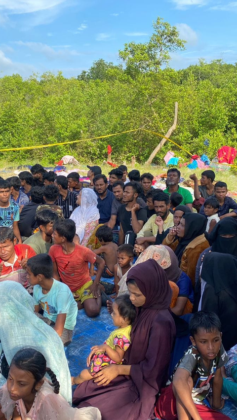 Punya Kartu Identitas UNHCR, Ini 6 Fakta Kedatangan 156 Pengungsi Rohingya ke Sumatra Utara <br>